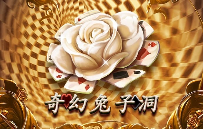 状元红高手坛599299